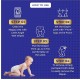 Little Angel Baby Easy Dry Diaper Pants With 12 Hrs Absorption Large Size, 9-14 Kgs - L (62 Pieces)