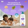 Himalaya Gentle Baby Wash 600ml | No tears formula |with chickpea and Green gram| Cleansing baby's gentle skin