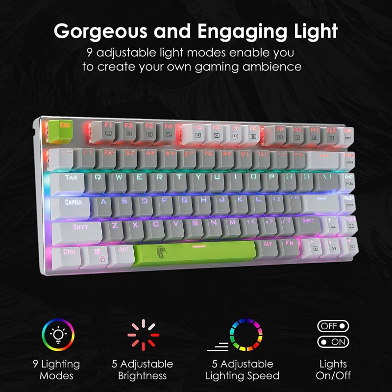 HUO JI Mechanical Gaming Keyboard Blue Switches Hot Swappable, E-YOOSO Z-88 Rainbow LED Backlit, USB Type-C Wired 81 Keys, for Desktop, PC Black