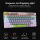 HUO JI Mechanical Gaming Keyboard Blue Switches Hot Swappable, E-YOOSO Z-88 Rainbow LED Backlit, USB Type-C Wired 81 Keys, for Desktop, PC