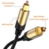 Cablecreation Toslink Cable Male To Male Digital Optical Audio Cable With Gold-Plated Connector For Home Theater, Sound Bar, Vd/Cd Player, Blu-Ray Players, Game Console And More For Television (10Ft) Cablecreation Toslink Cable Male To Male Digital Optical Audio Cable With Gold-Plated Connector For Home Theater, Sound Bar, Vd/Cd Player, Blu-Ray Players, Game Console And More For Television (10Ft)