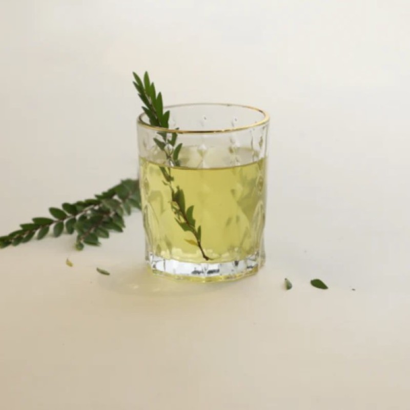 Tokyo Juice Glass 230 ml Set of 6 Pcs YG1689 - With Gold Line Tokyo Juice Glass 230 ml Set of 6 Pcs YG1689 - With Gold Line