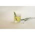 Tokyo Juice Glass 230 ml Set of 6 Pcs YG1689