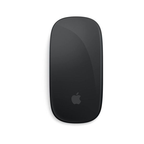 Apple Magic Mouse - Black Multi-Touch Surface - USB