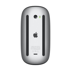 Apple Magic Mouse - Black Multi-Touch Surface - USB