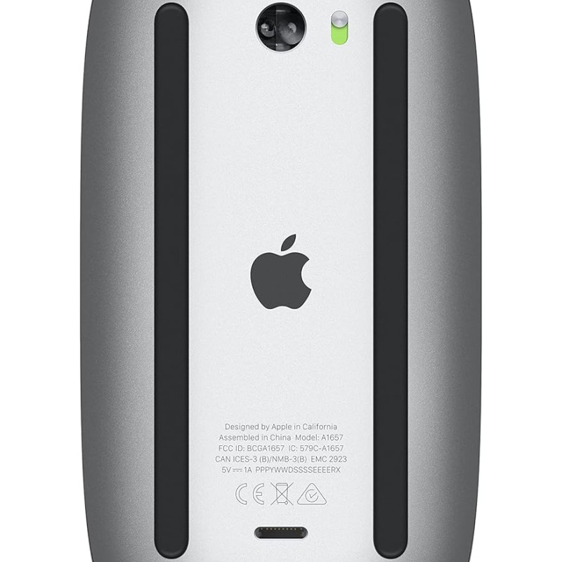 Apple Magic Mouse - Black Multi-Touch Surface - USB