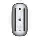 Apple Magic Mouse - Black Multi-Touch Surface - USB