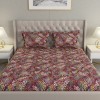 Raymond Home Cozzy 104 TC Double Bedsheet with 2 Pillow Covers Raymond Home Cozzy 104 TC Double Bedsheet with 2 Pillow Covers
