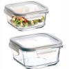 Sanjeev Kapoor Wellington Square Microwave Safe,Serving,AIRTIGHT,Container Set of 2 PCS - 520 ML