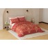 Raymond Home Avenue Cotton Rich King Bedsheet with 2 Pillow Covers