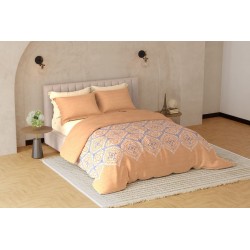 Raymond Home Avenue Cotton Rich King Bedsheet with 2 Pillow Covers