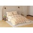 Raymond Home Avenue Cotton Rich King Bedsheet with 2 Pillow Covers