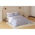 Raymond Home Avenue Cotton Rich King Bedsheet with 2 Pillow Covers