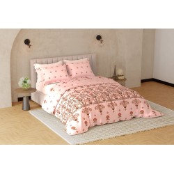 Raymond Home Avenue Cotton Rich King Bedsheet with 2 Pillow Covers