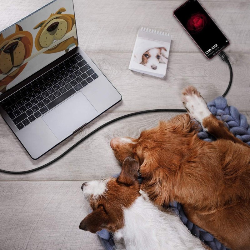 Wayona USB Type C Long Charger Cable Fast Charging USB C Cable (6 FT Pack of 1, Black) Wayona USB Type C Long Charger Cable Fast Charging USB C Cable (6 FT Pack of 1, Black)