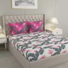Raymond Home Camphor 144 TC Double Bedsheet with 2 Pillow Covers Raymond Home Camphor 144 TC Double Bedsheet with 2 Pillow Covers