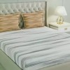 Raymond Home Camphor 144 TC Double Bedsheet with 2 Pillow Covers