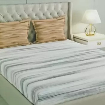 Raymond Home Camphor 144 TC Double Bedsheet with 2 Pillow Covers