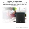 Mi Smart Speaker With Google Assistant  (Black)