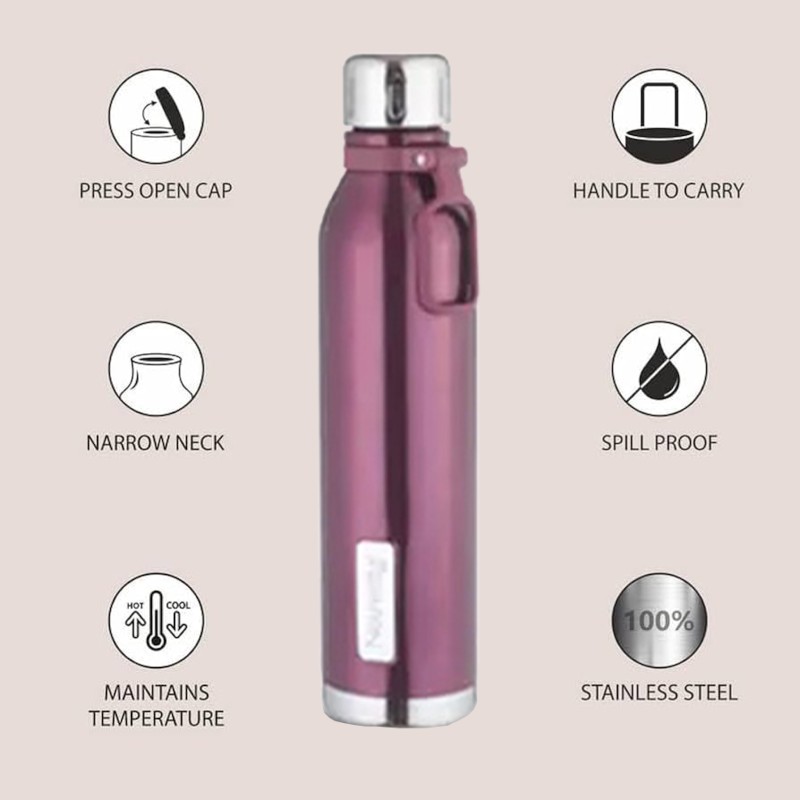 Nouvetta Etihad Double Wall Bottle - Rose Gold 750 ml Bottle (Pack of 2, Rose Gold, Steel) Nouvetta Etihad Double Wall Bottle - Rose Gold 750 ml Bottle (Pack of 2, Rose Gold, Steel)