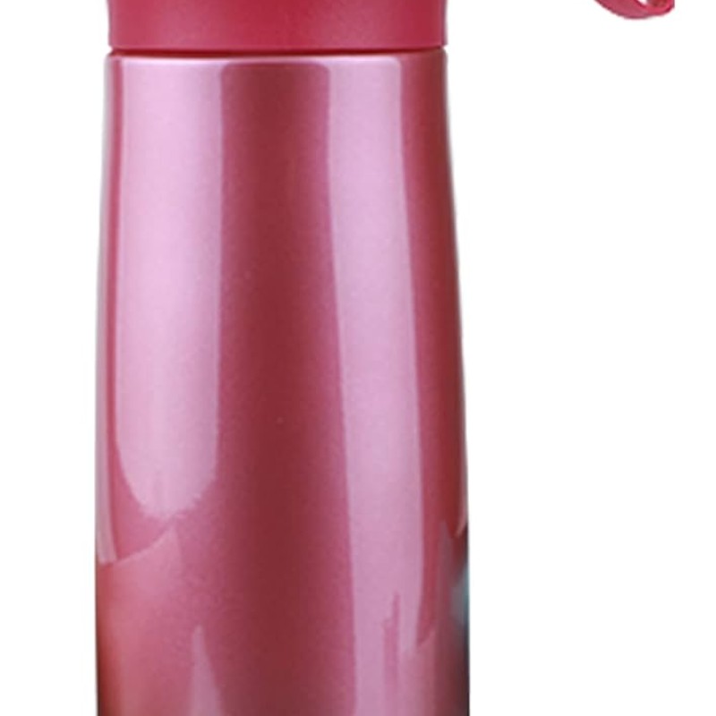 Cherry Double Wall Bottle 350 ML - RED