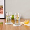 Sanjeev Kapoor Melbourne Long Drink Glass Set of 6 PCS 300ML