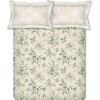 Raymond Home Vision 144 TC King Size Bedsheet with 2 Pillow Covers Raymond Home Vision 144 TC King Size Bedsheet with 2 Pillow Covers