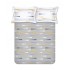 Raymond Home Vision 144 TC King Size Bedsheet with 2 Pillow Covers