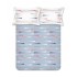 Raymond Home Vision 144 TC King Size Bedsheet with 2 Pillow Covers