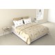 Raymond Home Vision 144 TC King Size Bedsheet with 2 Pillow Covers